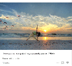 Tumblr-post-sunset